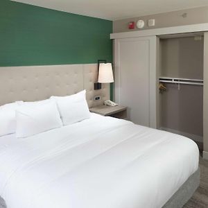 King Room Mobility accessible